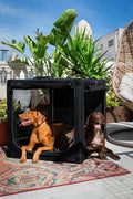 Noah & Paw XXL Collapsible Dog Crate, 42", Soft Sided Dog Crate 900D Oxford
