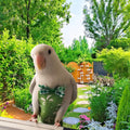 5 Pcs Bird Diapers Bird Harness Flight Suits Diapers Reusable Parrot Nappy with Waterproof Inner Layer Washable Cute Uri