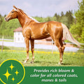 Farnam Super 14 Healthy Skin & Coat Supplement for Horses, Keeps Coats Shiny & Gleaming Year-Round 5 Pound, 80 Day Suppl