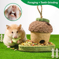 Guinea Pig Toys 2 Pack Guinea Pig Chew Toys Rabbit Treats Hamster Toys