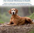Rx Vitamins LiquiCarn - Pure L-Carnitine for Dogs and Cats - 4oz