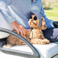 Jadive Small Dog Sun Hat with Ear Holes Dog Sunglasses