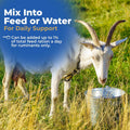 AniMed 99% Ammonium Chloride Powder for Goats, Cattle, Sheep, 2.5 lbs