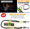 TAKSIN The Ultimate Hands Free Two Dogs Double Leash System for Walking Running Hiking Training, Reflective Bungee Leash, Treat Holder, Poop Bag Dispenser Small Medium Large Dogs (Grey Deluxe Pack)