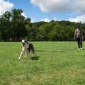 Hi Kiss Dog/Puppy Obedience Recall Training Agility Lead - 15ft 20ft 30ft 50ft 100ft Training Leash - Great for Play, Camping, or Backyard - Black 20ft