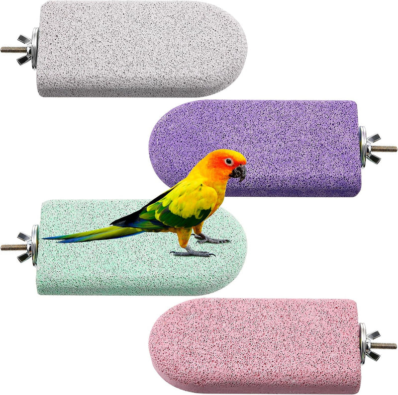 4 PCS Bird Beak Grinding Stone Pumice Lava Ledge