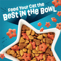 Friskies Purina Party Pack'd Dry Cat Food - 15 lb. Bag