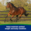 Farnam Weight Builder Weight Support Supplement for Horses, 30 Day Supply