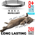 Flea and Tick Prevention for Cats - Collar - 2 Count - Adjustable