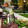 6Pcs Bird Diapers Bird Harness Flight Suits Diapers Reusable Parrot Nappy with Waterproof Inner Layer Washable Cute Urin