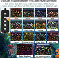 24/7 LED Aquarium Light for 18-24 Inch Plant & Fish Tank, 12-Color & Gradient & Full Spectrum with Auto On/Off, Brightne