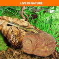 REPTI ZOO Gecko Hide Cave, 2 in 1 Snake Reptile Hideout for Hide & Rest & Breed & Feeding, Reptile & Amphibian Habitat D