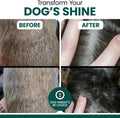 Vegan Omega 3 for Dogs, 8oz - Algae Oil Supplement for Skin and Coat