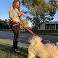 Shed Defender Hands Free Dog Leash Belt - Seen on Shark Tank - Attaches to All Leashes, Hands-Free Waist Leash for Walking, Running, Hiking, Adjustable one Size fits All, Designed in USA (Black)