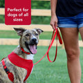 Coastal Pet Single-Ply Dog Leash - Sturdy Pet Leash - Comfortable & Stylish - Resists Fraying - Vibrant & Fade-Resistant Color - Neon Pink, 3/8" x 6'