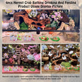 7 Pack Hermit Crab Pool Hermit Crab Water Bowl Dish Hermit Crab Food Bowl Dish Hermit Crab Accessories Starter Kits