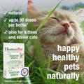 HomeoPet Feline Digestive Upsets, Safe and Natural Cat Digestive Support, 15 Milliliters