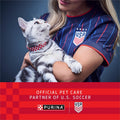 Purina Kitten Chow Year One Essentials with Real Chicken High-Protein Complete and Balanced Dry Kitten Food with Essenti