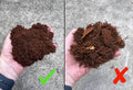 Premium New Zealand Tree Fern Fiber (Debris Free) Growing Medium and Reptile Substrate- Natural, Organic, Long Lasting |