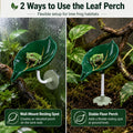 Tree Frog Tank Accessories Water Dish, 4-Piece Leaf Perch Set (Decor Bowl)