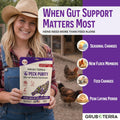 PeckPurity Natural Chicken Herbal Supplement Dewormer – Daily Gut Support with Diatomaceous Earth & Yucca Extract – for Hens, Chicks & Wild Birds – Plant-Based Digestive Health Blend – USA (1 LB)