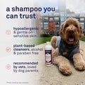 Petpost | Skunk Odor Eliminator Shampoo for Dogs & Cats. Neutralizes Strong Odors. Gentle & Safe Formula. 16 oz