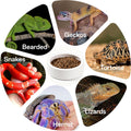 Escape-Proof Reptile Food Dish Bowl, Ceramic Reptile Feeding Dish & Small Animal Bowl for Lizard, Leopard Gecko, Hermit 