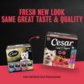Cesar Loaf & Topper Wet Dog Food, Variety Pack, 3.5 oz, 24 Count