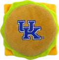 Kentucky Wildcats/STADIUM CHEESE HAMBURGER