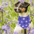 JpGdn 10PCS Big Dog Bandanas Large Breed Paw Print for Extra Large XL XXL Triangle Bibs Head Scarves for Boys Girls Grooming Accessories Costume