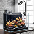 3.3 Gallon Small Fish Tank Glass Aquarium Complete Kit for Betta Fish