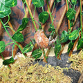 Reptile Hermit Crab Climbing Wall Toy Bearded Dragon Climb Tank Accessories