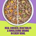 Wellness Protein Bowls Variety Pack Adult Wet Dog Food, Fresh Alternative, Wholesome Grains, Natural, Chicken Recipes, 6.2 oz, Pack of 6 Pouches