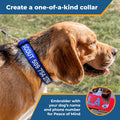 GoTags Personalized Dog Collar, Custom Embroidered Pet ID Dog Collar with Pet Name and Phone Number, Adjustable with Qui
