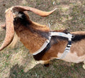 Asatre Goat Harness - Adjustable Livestock Harness – X-Large