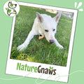 Nature Gnaws Beef Tendons for Dogs 7-11" (12 Count) - Long Lasting for Aggressive Chewers & Large Dogs - Natural Beef Jerky Dog Chew Bones - Rawhide Free
