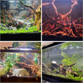 Azil Natural Aquarium Driftwood Root – Driftwood for Aquarium Decor, 170g~0.38lb (14″–16″), Fish Tanks, Terrariums, Aqua