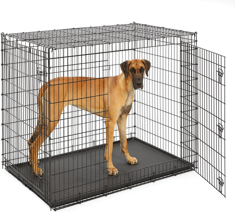 Solutions by Midwest 54-Inch Double Door Crate, Giant Breed Dogs, 100+ lbs