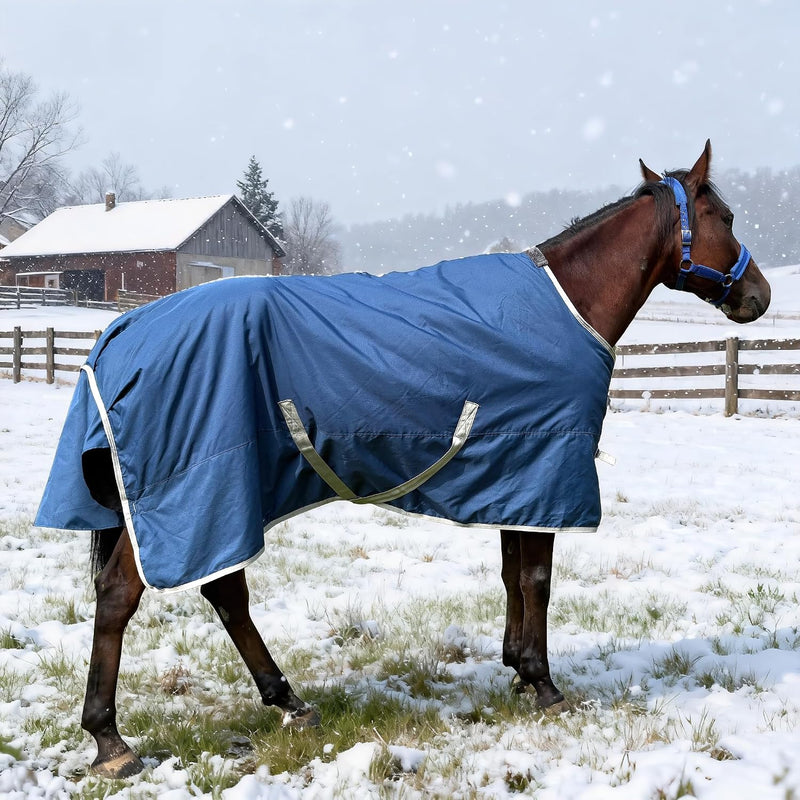 Winter 1200D Premium Turnout Horse Blanket,Medium Weight Waterproof Blanket
