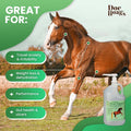 Doc Hoag's Aloe Vera Horse Supplement, Gastric & Ulcer Support, 1 Gallon