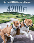 Training Collar for 2 Dogs, 4200FT Dog Shock Collar with Remote