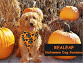 Realeaf Halloween Dog Bandanas 2 Pack, Pumpkin and Spider Web Bibs, Triangle Reversible Fall Pet Scarf, Premium Durable 