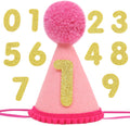 Pet Birthday Hat with Interchangeable Numbers 1-10 | Adjustable Pet Party Cone Hat for Dogs & Cats | Puppy Birthday Phot