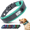 Black Rhino Dog Collar for Large Dogs - Adjustable Reflective Heavy Duty Collar with Ultra-Soft Neoprene Padding - Weatherproof, Durable, and Comfortable - Ideal for Active Dogs - Aqua and Gray