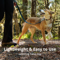 Ruffwear, Roamer Bungee Dog Leash