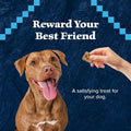 Blue Buffalo Wilderness Trail Treats Crunchy Dog Biscuits, Grain-Free and High-Protein Dog Treats Made with Natural Ingredients, Salmon Recipe 24-oz Bag