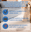 Stink Free Instantly Pet Urine Odor Remover - Cleaner, Neutralizer, & Eliminator of Cat & Dog Pee Odor on Carpets, Rugs, Outdoor Rugs, Mattress, Floor, Etc. 32 oz. (1 Quart)