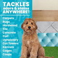 Unique Pet Odor and Stain Eliminator Liquid Concentrate - Makes Over 2.5 Gallons - Eliminates Pet Odors and Stains (32 oz)