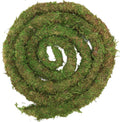 USMOLA Moss Vine for Reptiles, Bendable Climbing Vines Reptile Tank Accessories, Natural Moss Rope for Leopard Gecko, Li