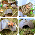 Hermit Crab Accessories – 5PCS Natural Hermit Crab Toys Climbing Bridge, Shells, Coconut Hideout, Moss and Plants for He
